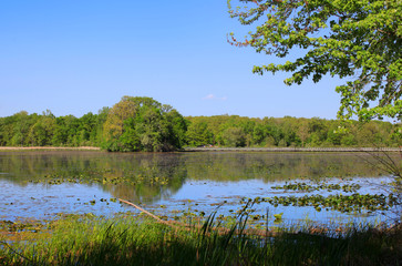 Kent lake landscape 