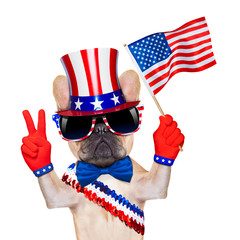 4th oh july dog