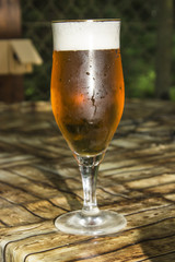 Beer