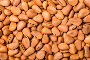 pine nuts