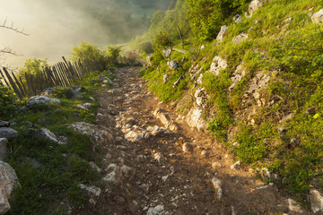 Countryside road in the sunrise fog and mist