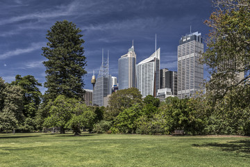 Downtown Sydney mit Botanischem Garten im Vordergrund