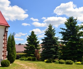 ogród  © agnes78