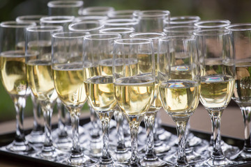 Wedding glasses filled with champagne, ready to be served