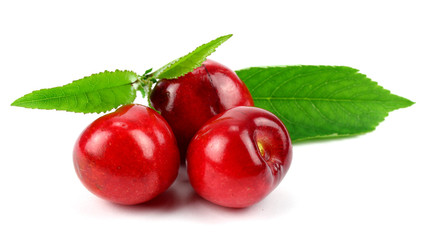 Cherry berries isolated on white