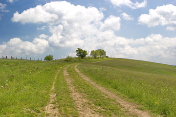 path to the top of hill, summer day in Slovakia