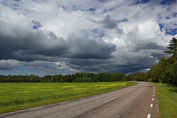 Fototapeta na wymiar long road across the island Saaremaa, Estonia