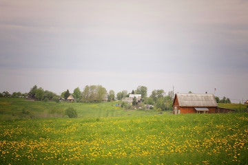 Plakat landscape countryside field