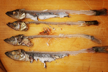 smoked capelin fish with garnish