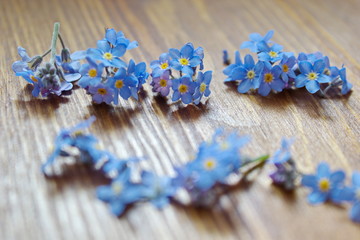 forget me nots lying on the wooden table