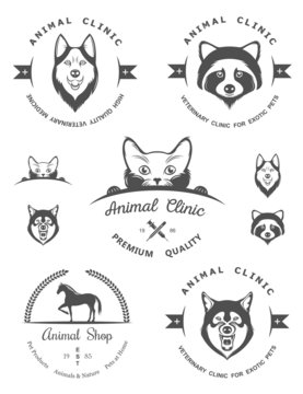 Set of Logos and Badges for Vet Clinic