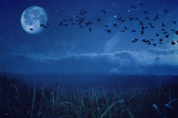 Night background concept migratory birds - 84861572