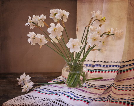 Fototapeta daffodils