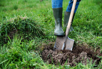 Man digs a hole