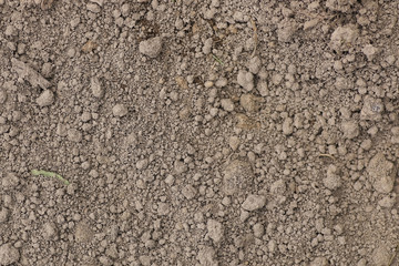 texture of peat land