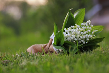 lilies of the valley at sunset