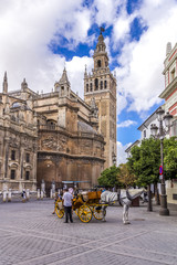 Naklejka na ściany i meble Kutscher hofft auf Kundschaft an der Kathedrale von Sevilla