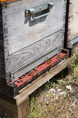 Bee hives