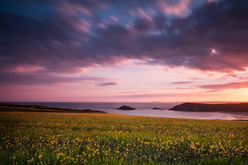 Fototapeta na wymiar Idyllic wild flowers meadow on Cornish cliff at dramatic sunrise