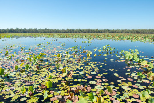 Parc National de Kakadu
