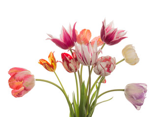 beautiful bouquet of bright tulips