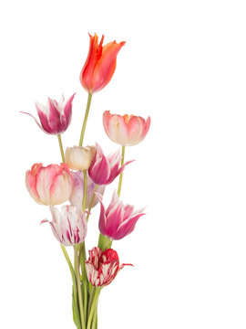 beautiful bouquet of bright spring tulips
