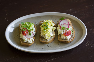 bruschetta with cheese, radish, cucumber and cherry tomatoes 
