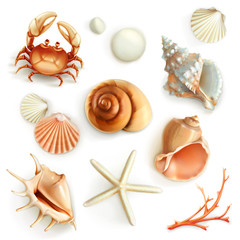 Seashells, set vector icons - obrazy, fototapety, plakaty