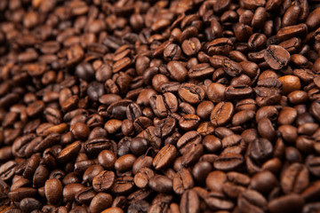 roasted coffee beans close up