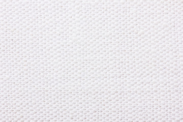 White canvas texture.