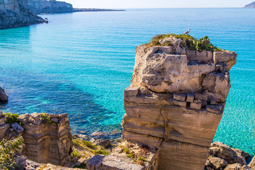 Obraz premium Seagull resting on a rock on Favignana island in Sicily, Italy