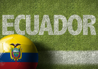 Soccer field with the text: Ecuador