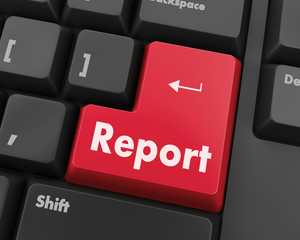 Fototapeta premium Report