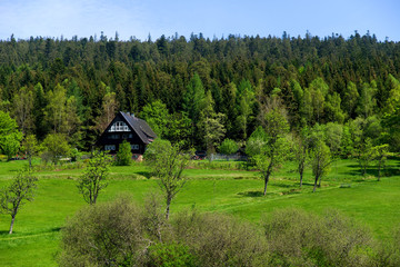 Herrenwies im Schwarzwald 