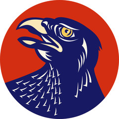 Hawk Head Looking Up Circle Retro
