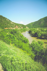 River in forest landscape