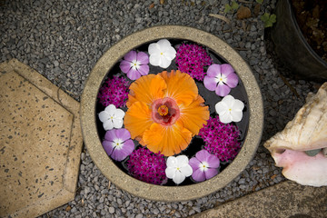 Bowl of beautiful flowers in spa area