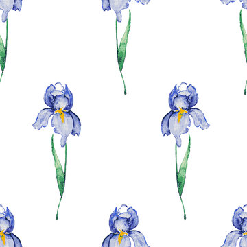 iris watercolor seamless pattern