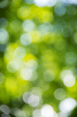 Natural blurred background.