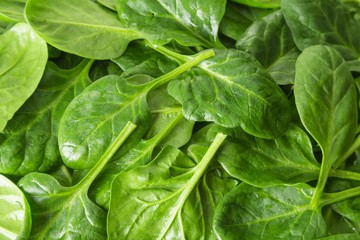 Spinach, Vegetable, Freshness.