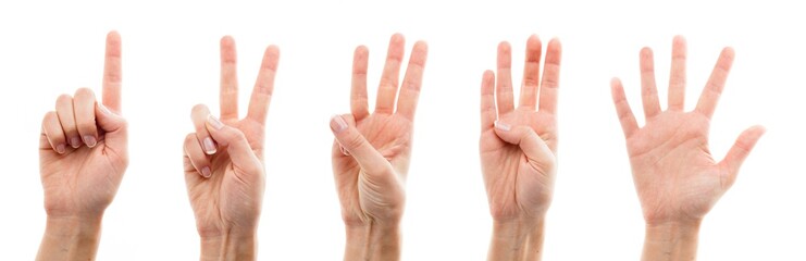 Human Hand, Counting, Human Finger.