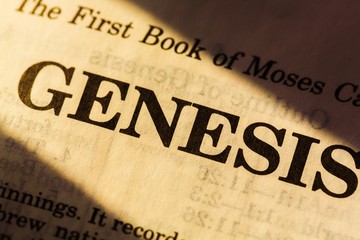 Origins, Bible, Beginnings.