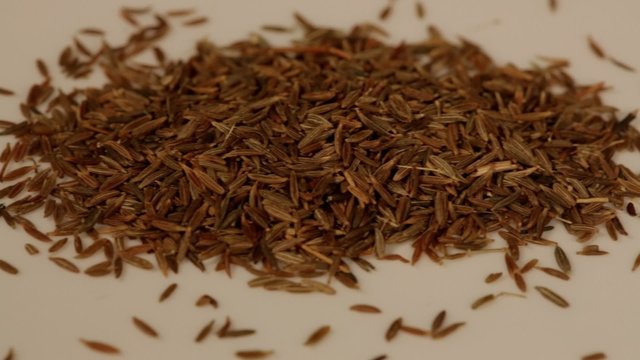 Sliding view of cumin spice grains on a white pan background