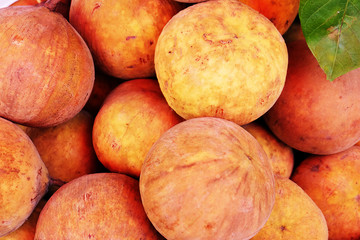 santol Sandoricum koetjape
