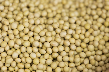 大豆　北海道産