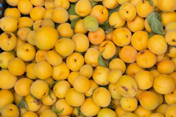 完熟した梅の実