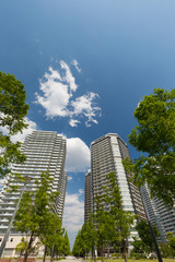 Fototapeta premium 新緑の高層マンション