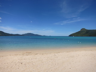 ハミルトン島のビーチ