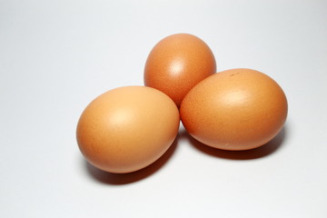 eggs