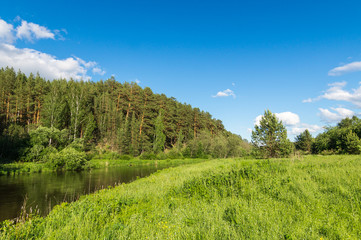 Летний пейзаж с рекой и лесом, Урал, Россия